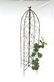 Preview: Growth support 120005 foldable Plant support metal H-160cm D-50cm Stake Fence