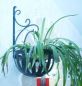 Preview: Peduncle flower basket Basket with wall hook galvanised and powder-coated green