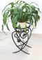 Preview: DanDiBo Flower Stand Metal Black 49 cm Flower Stool KW420 Plant Column Plant Stand Flower Column Small