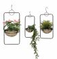 Preview: DanDiBo Blumenampel Innen Metall Wand Hängepflanzen 96083 3er Set mit Topf Silber Pflanzenhänger Blumenhänger Topfhänger Blumen Blumentopfhänger Hängetopf