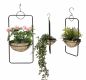 Preview: DanDiBo Blumenampel Innen Metall Wand Hängepflanzen 96083 3er Set mit Topf Silber Pflanzenhänger Blumenhänger Topfhänger Blumen Blumentopfhänger Hängetopf