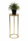 Preview: DanDiBo Blumenhocker Metall Gold Rund 50 cm Blumenständer Beistelltisch 96510 S Blumensäule Modern Pflanzenständer Pflanzenhocker