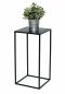 Preview: DanDiBo Blumenhocker Metall Schwarz Eckig 50 cm Blumenständer Beistelltisch 96312 S Blumensäule Modern Pflanzenständer Pflanzenhocker