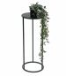 Preview: DanDiBo Blumenhocker Metall Schwarz Rund 60 cm Blumenständer Beistelltisch 96316 M Blumensäule Modern Pflanzenständer Pflanzenhocker