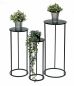 Preview: DanDiBo Blumenhocker Metall Schwarz Rund Blumenständer Beistelltisch 96316 3er Set Blumensäule Modern Pflanzenständer Pflanzenhocker