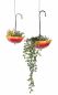 Preview: DanDiBo hanging basket metal hanging basket with pot indoor outdoor umbrella hanging plants set of 2 96258 plant hanger flower hanger pot hanger flowers