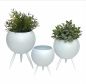 Preview: DanDiBo Blumenhocker Metall mit Topf Weiß Blumenständer 96259 3er Set Blumensäule Modern Pflanzenständer Pflanzenhocker