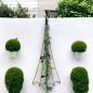 Preview: DanDiBo climbing support garden metal black umbrella climbing trellis flowers climbing plants roses ground plug climbing support flower holder climbing column