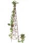 Preview: Growth support Pyramid 082547 made from metal 95cm to 164cm Fence Stake (L - 142 cm)