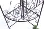 Preview: Rose arch with gate 101759 made from metal Garden gate 236x186cm Growth support