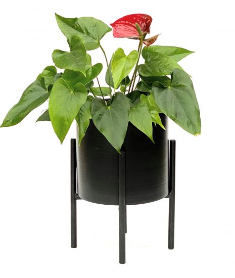 DanDiBo Blumenhocker mit Topf Metall Schwarz 32 cm Blumenständer 96153 Blumensäule Modern Pflanzenständer Pflanzenhocker