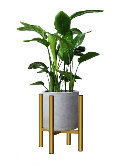 DanDiBo Verstellbarer Pflanzenständer Gold Metall 30 cm Blumenständer 96474 Blumenhocker Verstellbar Modern Pflanzenhocker Blumensäule