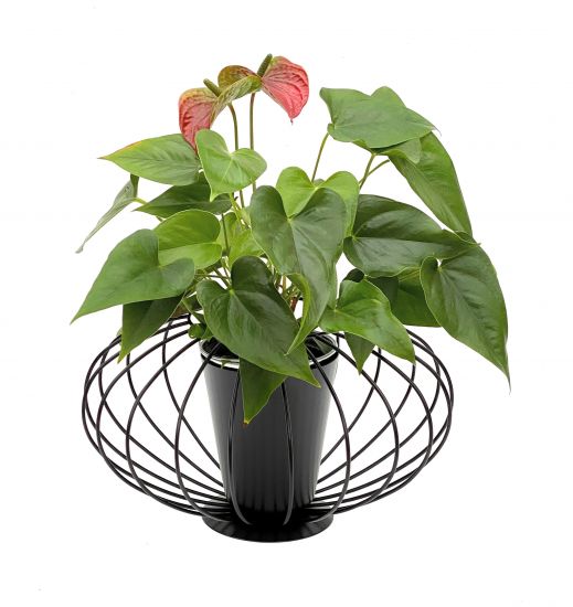 DanDiBo Tischdeko Wohnzimmer Pflanzgefäß Metall Schwarz Matt Rund Ø 36 cm Blumenständer KW442 Blumenschale Modern Pflanzenständer Pflanzenvase Vintage