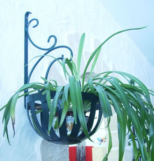 Peduncle flower basket Basket with wall hook galvanised and powder-coated green