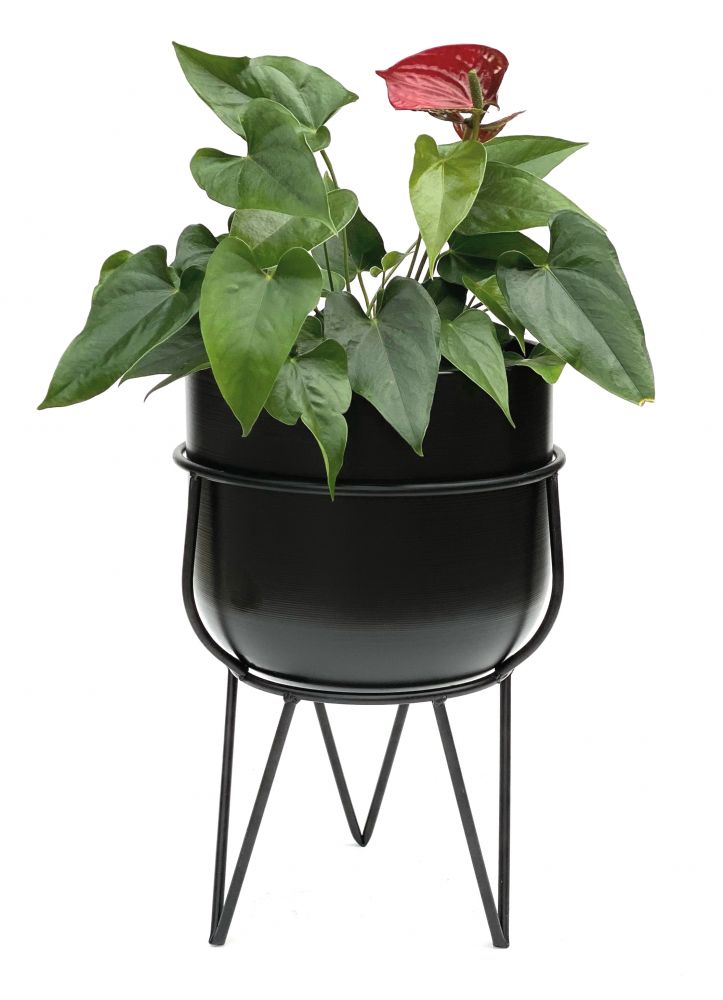 DanDiBo Blumenhocker mit Topf Metall Schwarz 42,5 cm Blumenständer 96151 Blumensäule Modern Pflanzenständer Pflanzenhocker