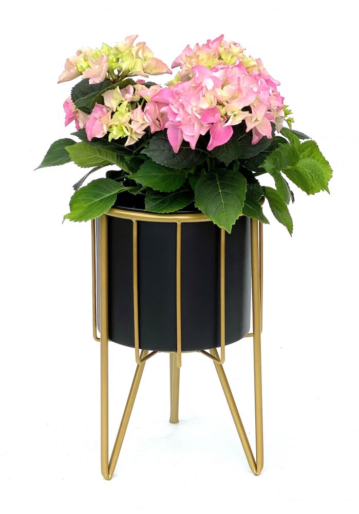 DanDiBo Blumenhocker mit Topf Metall Gold Schwarz Rund S 32 cm Blumenständer 96039 Blumensäule Modern Pflanzenständer Pflanzenhocker